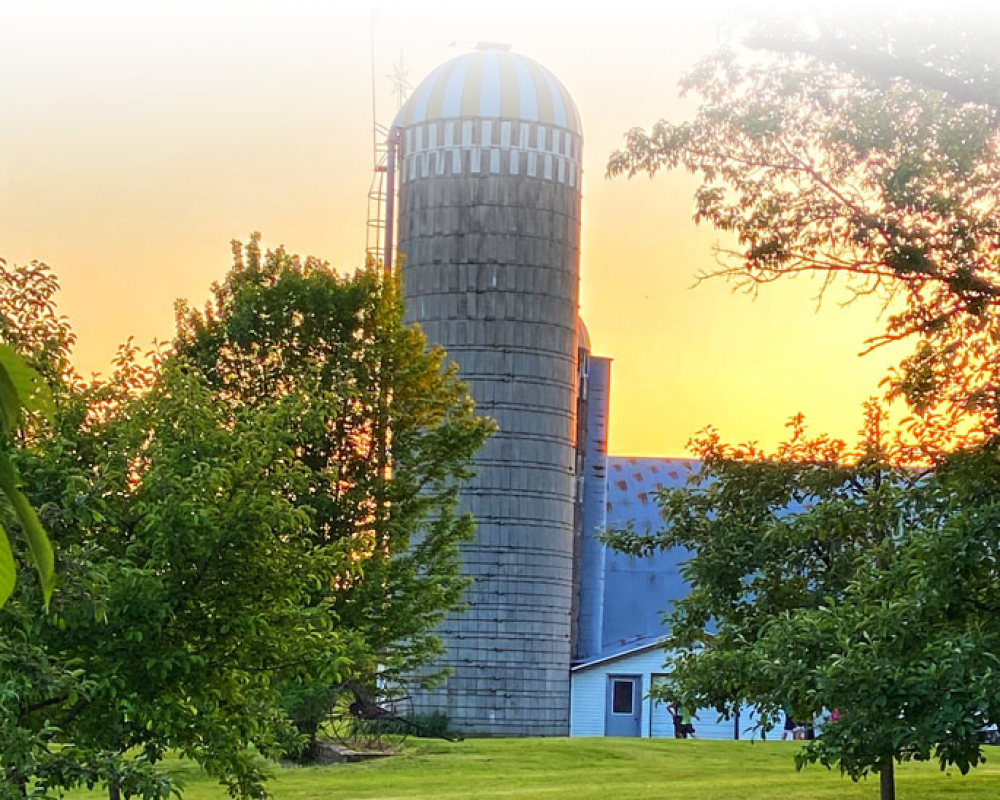 Silo-apple-trees-banner-pic.png